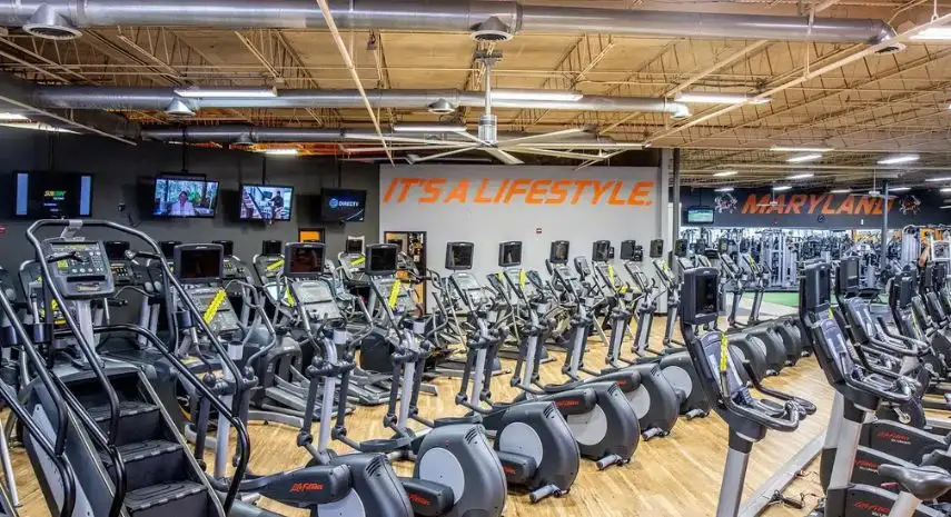 Fitness Evolution Franchise Opportunities image 3