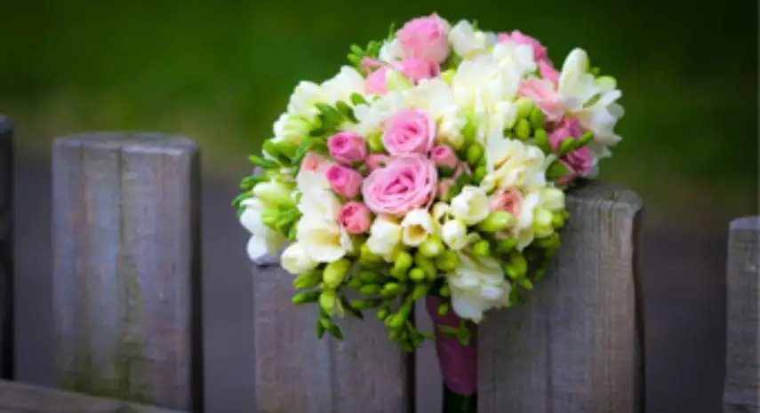 Flowerama Franchise Opportunity