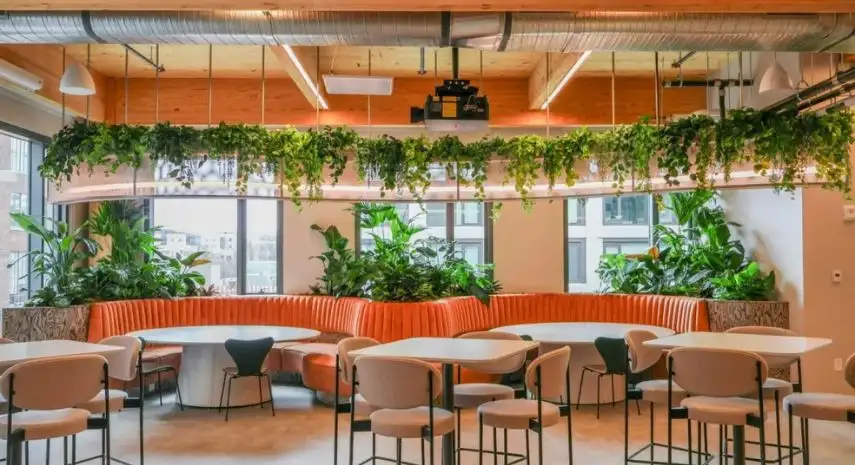 Foliage Design Systems