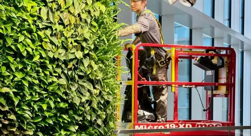 Foliage Design Systems