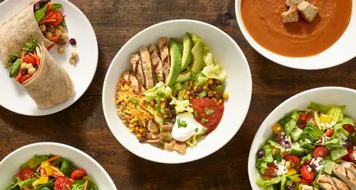 The Chopped Leaf Franchise Cost, Fees & Opportunities