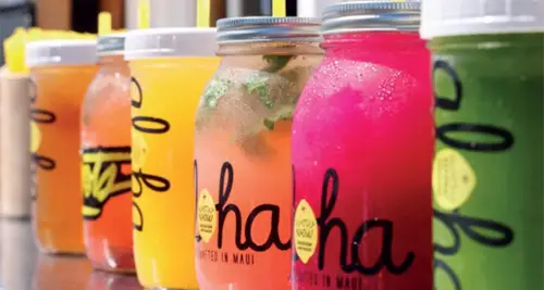 Franchise Wow Wow Hawaiian Lemonade For Sale