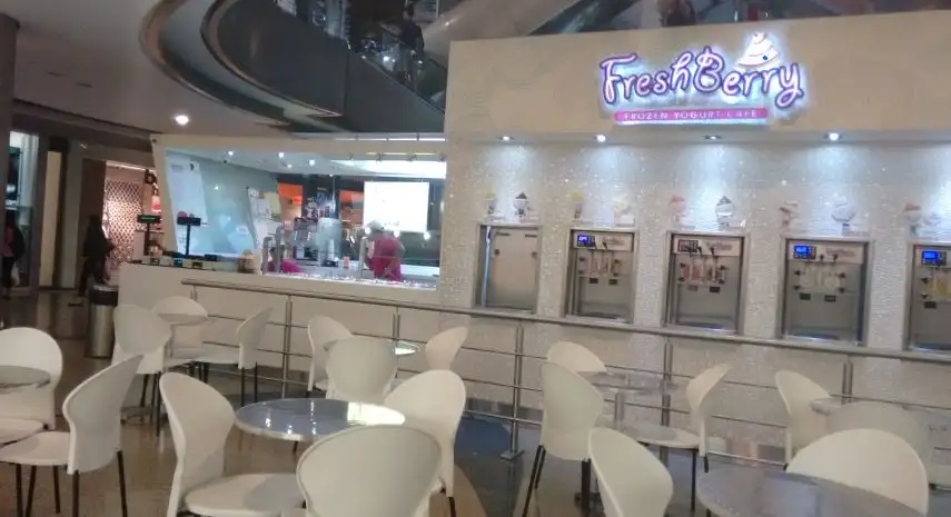 FreshBerry Franchise Opportunity