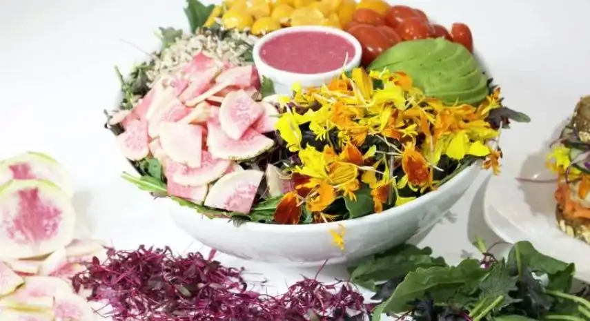 FRESH&CO Franchise Opportunity