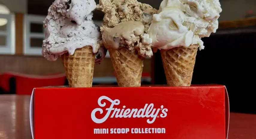 Friendly's USA Franchise For Sale