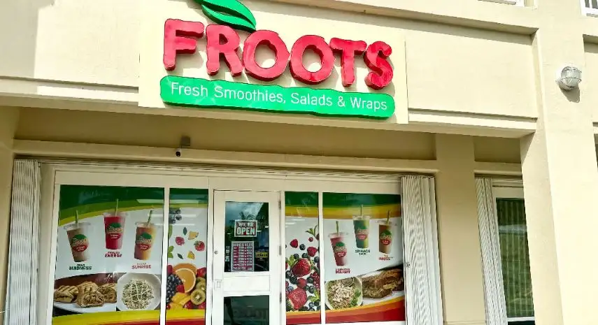 Froots Franchise Opportunities
