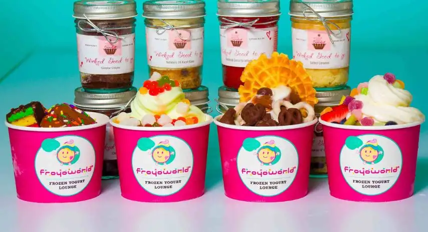 Froyoworld Franchise Opportunity image 4