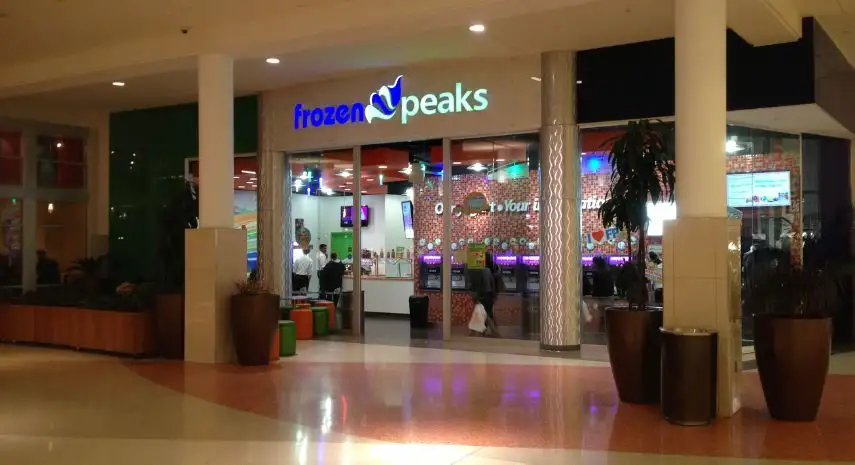 FrozenPeaks Franchise Opportunities