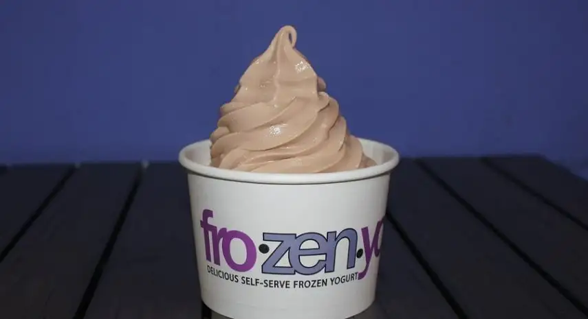 fro.zen.yo Franchise Opportunities