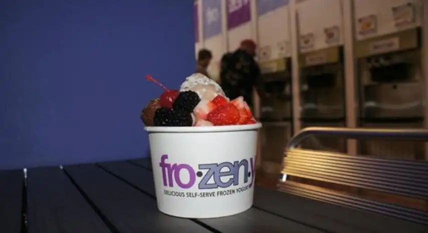 fro.zen.yo Franchise Opportunities