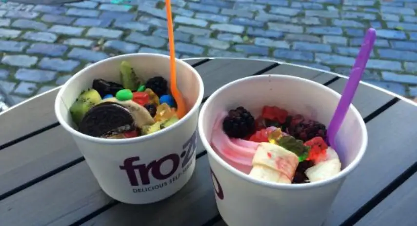 fro.zen.yo Franchise Opportunities