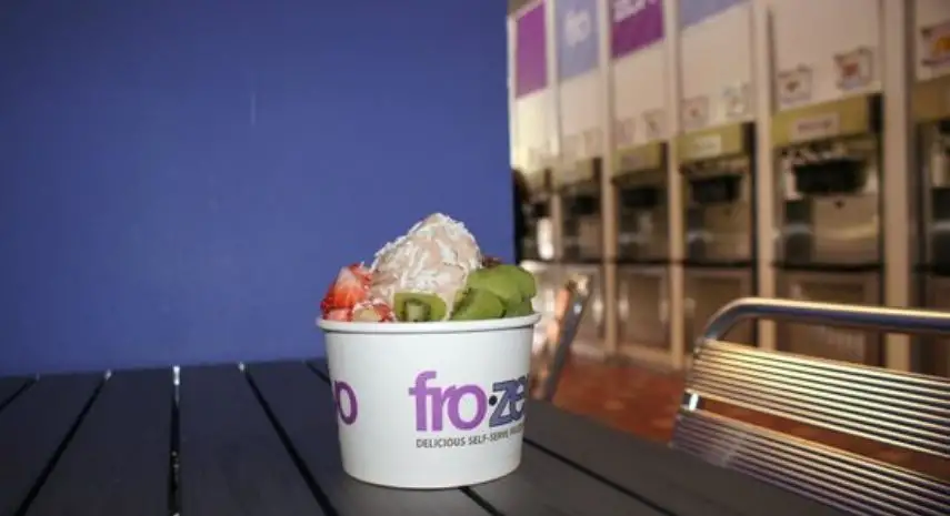 fro.zen.yo Franchise Opportunities