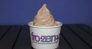 fro.zen.yo