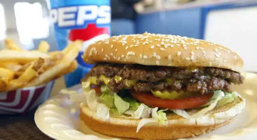 Frugals Burger Franchise Opportunity Overview image 2