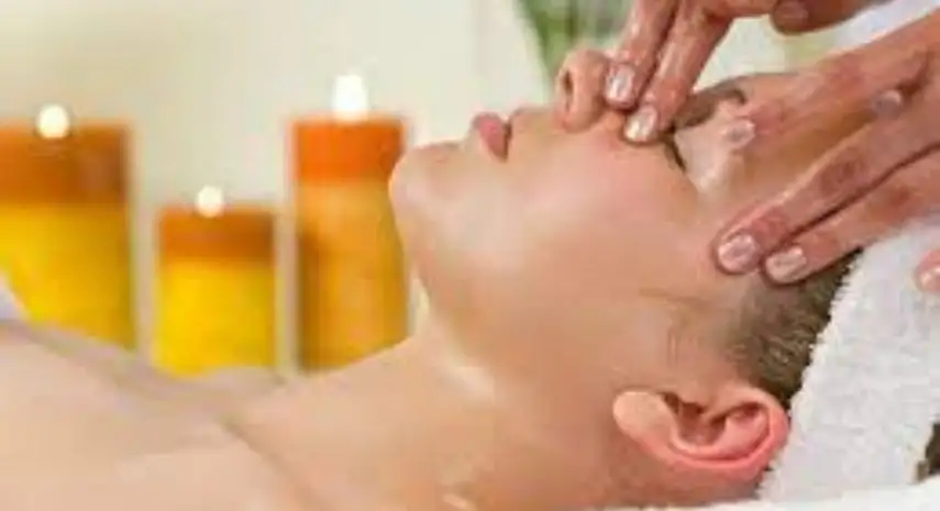 Fuchsia Spa Franchise Opportunity | beauty & wellness