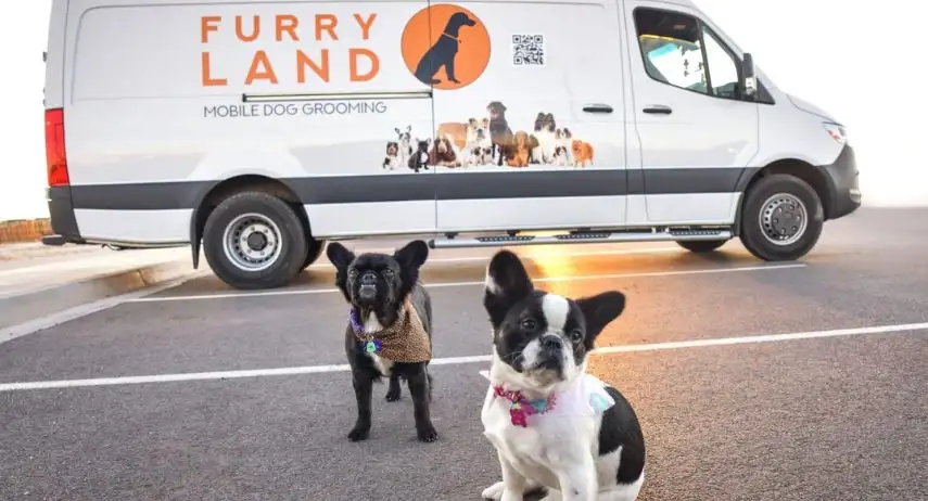 Furry Land Mobile Pet Grooming Franchise Opportunity image 3