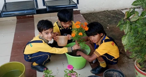 Future Child International Play School Franchise For Sale