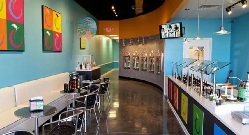 Fuzzy Peach  | frozen yogurt