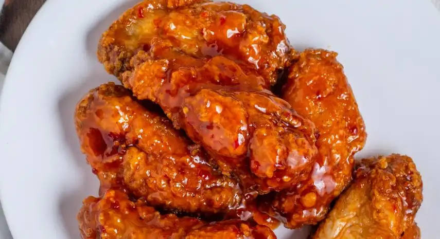 Fyrebird Chicken  | chicken concept