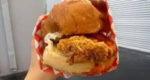 Fyrebird Chicken  | chicken concept