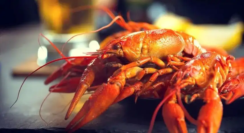 Gandy Seafood Cajun Market Opportunities