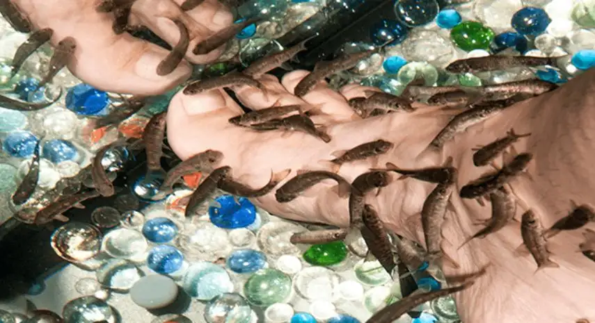 Garra Spas  | wellness spa