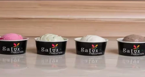 Gatox Franchise Cost, Fees, Opportunities