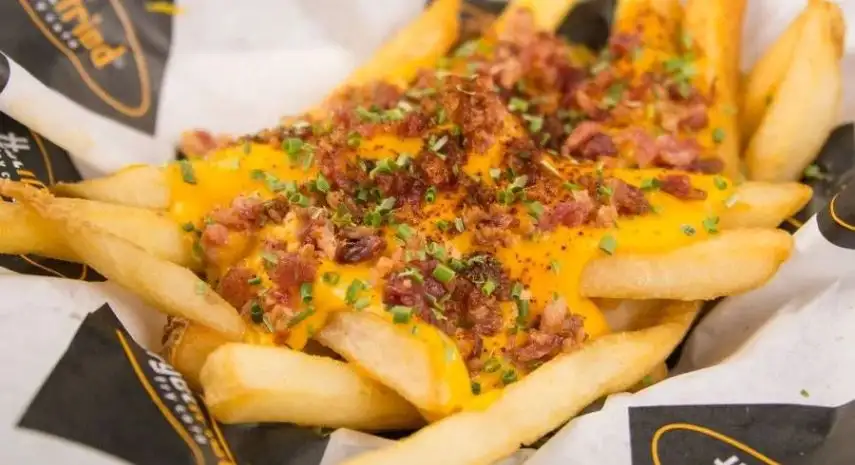Get Fried Franchise Opportunity | loaded fries image 3