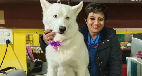 GlamPetz Franchise Cost, Fees, Opportunity