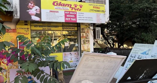GlamPetz Franchise