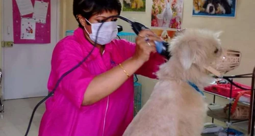 GlamPetz Franchise Cost, Fees, Opportunity