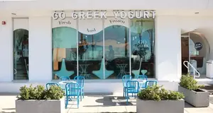 Go Greek Yogurt  | frozen yogurt