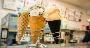Gofer Ice Cream  | ice cream shop