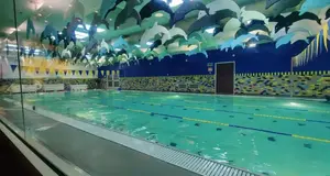 Gold Medal Swim School Opportunity