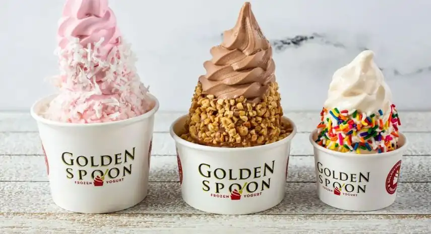 Golden Spoon Frozen Yogurt Opportunities