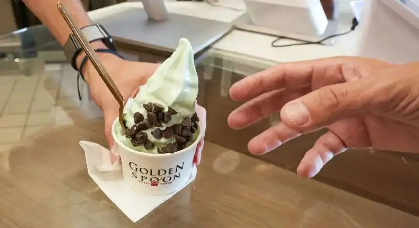 Golden Spoon Frozen Yogurt Opportunities