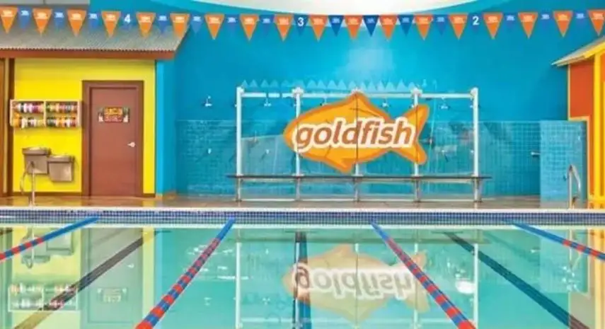 Goldfish Swim School USA Franchise For Sale