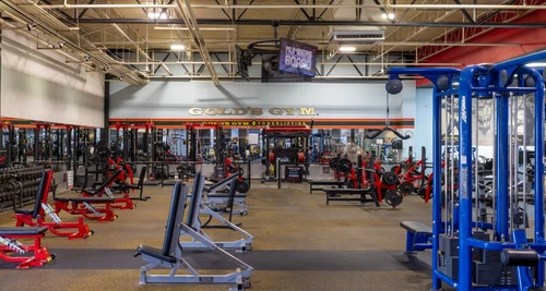 Gold’s Gym Franchise Cost, Fees, Opportunity