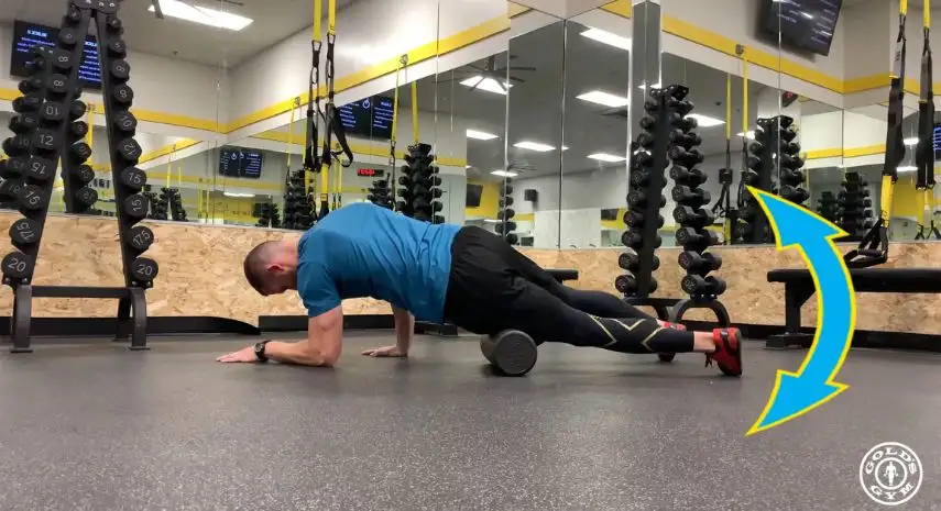 Gold's Gym USA Franchise For Sale