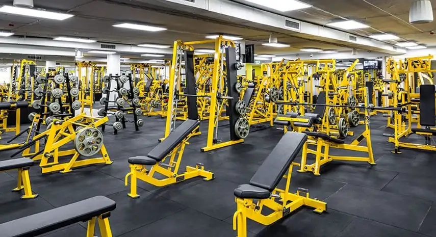 Gold's Gym USA Franchise For Sale image 4