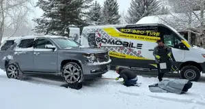 GoMobileTires  | mobile tire service