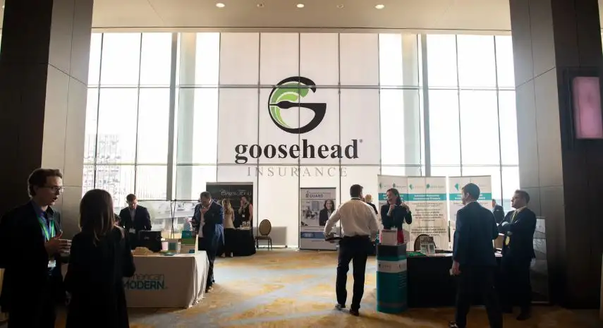 Goosehead Insurance USA
