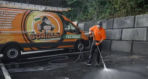 Gorilla Property Services Franchise Cost, Fees, Opportunity