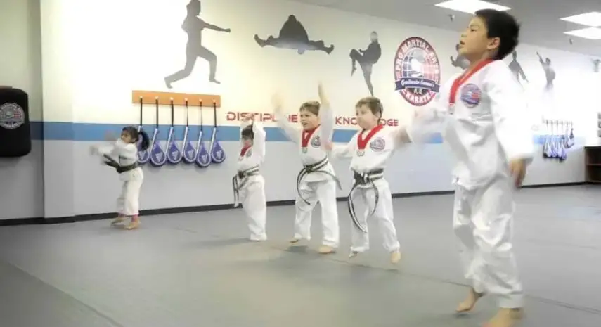 Grandmaster Samane’s Pro Martial Arts Karate Opportunity