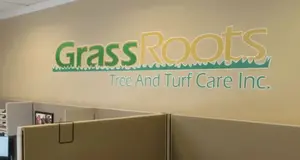 GrassRoots