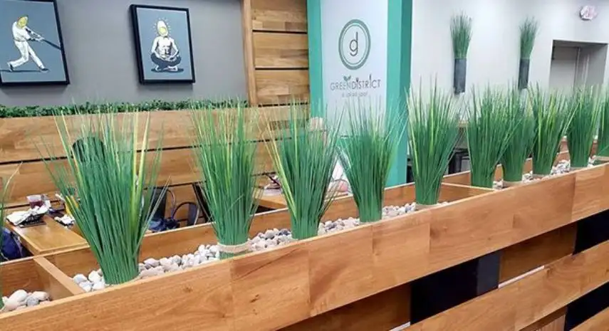 Green District Healthy Fast-Casual Franchise image 3