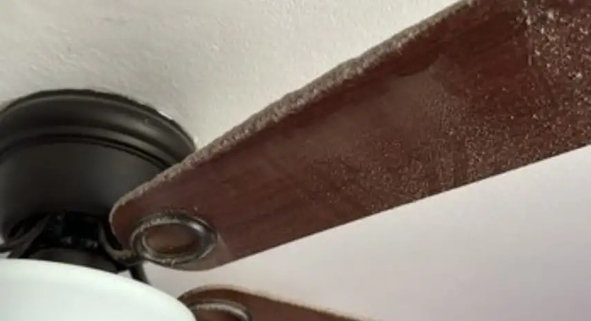 Green Tech Cleaning Opportunities