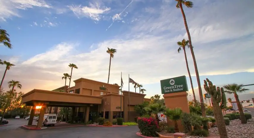 GreenTree  | tree services