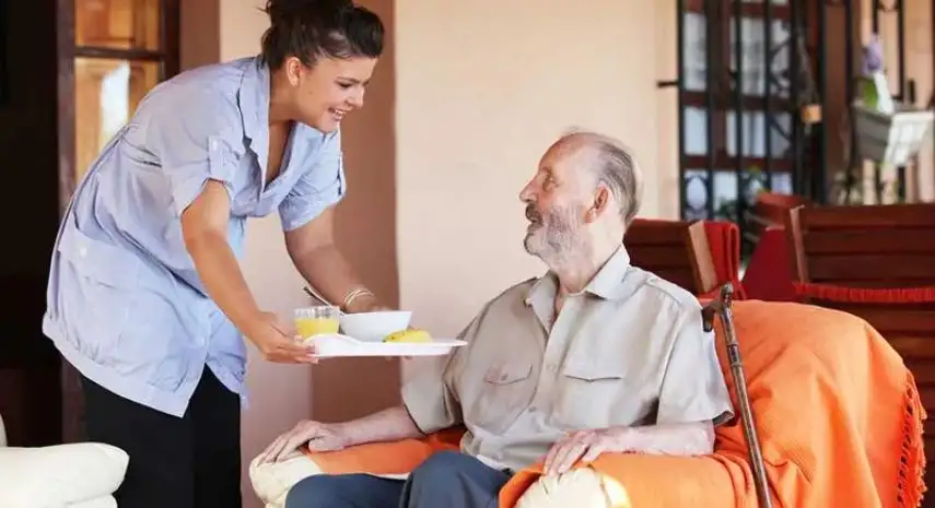 Griswold Home Care USA Franchise For Sale