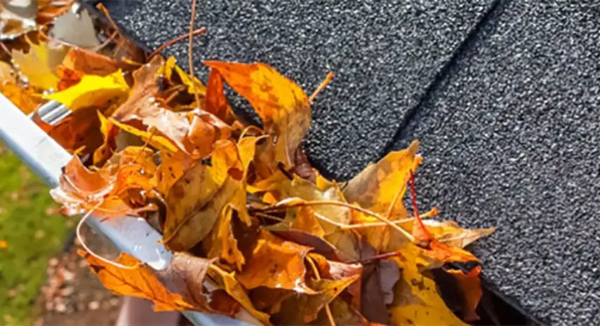 Gutter Monkeys  | gutter cleaning